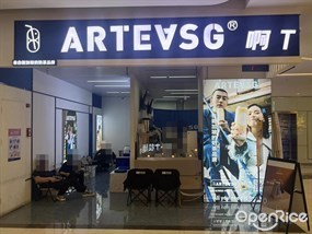 ARTEASG啊T