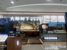 大榕树下