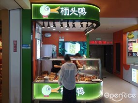 栖头鸭