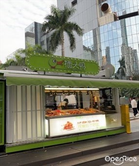 栖头鸭