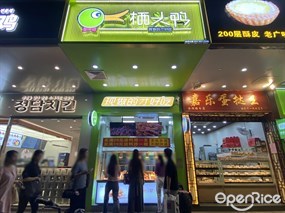 栖头鸭