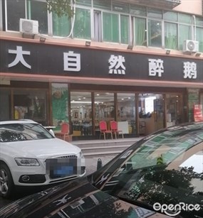 大自然醉鹅
