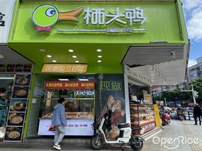 栖头鸭