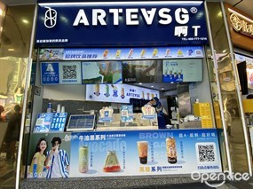 ARTEASG啊T