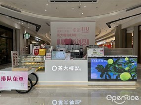 茶大椰