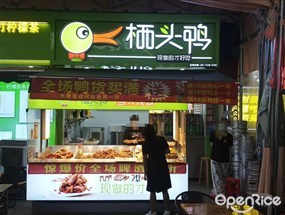 栖头鸭