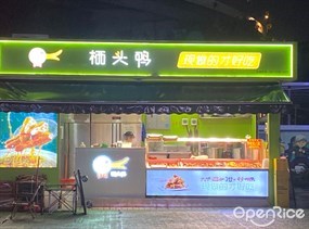 栖头鸭