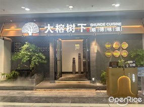 大榕树下