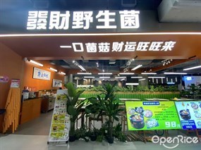 发财野生菌