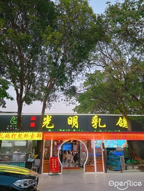 南粤光明乳鸽