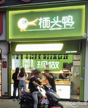 栖头鸭