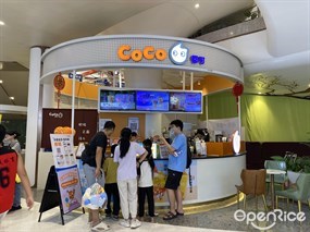 CoCo都可