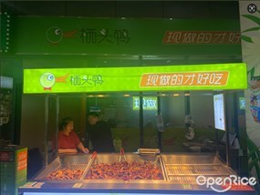栖头鸭