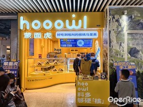 蒙面虎hooowl