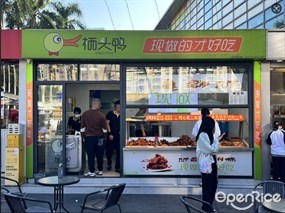 栖头鸭