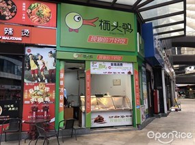 栖头鸭