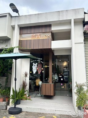 冬青ilex