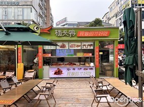 栖头鸭