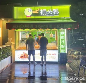 栖头鸭