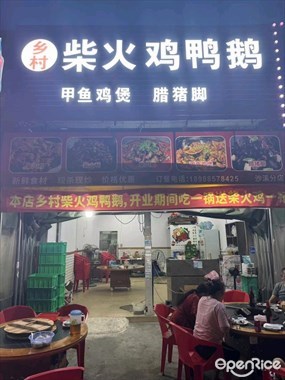 乡村柴火鸡鸭鹅