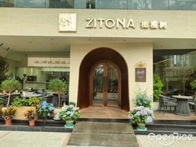 ZITONA橄榄树