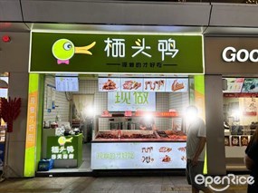 栖头鸭
