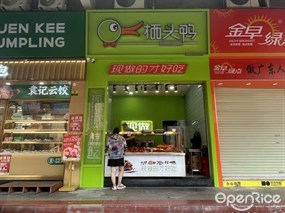 栖头鸭