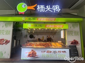 栖头鸭