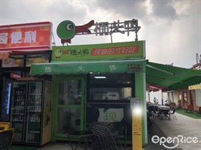 栖头鸭