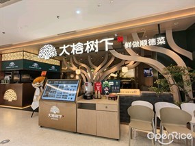 大榕树下