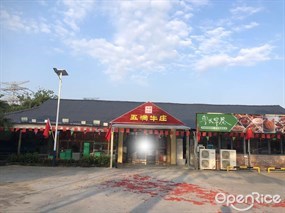 黄圃印象五洞牛庄