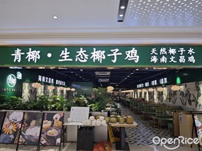 青椰·生态椰子鸡