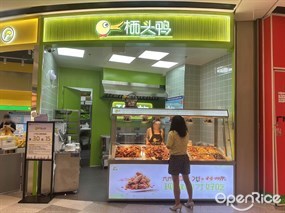 栖头鸭