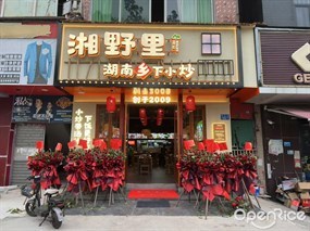 湘野里湖南乡下小炒