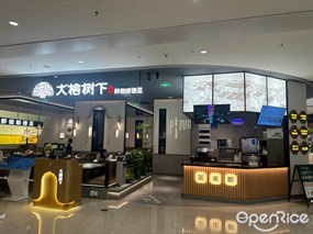 大榕树下