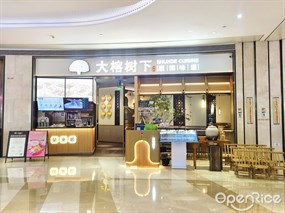 大榕树下