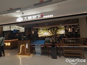 大榕树下