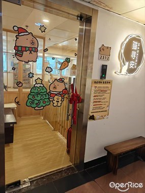 猫寻安