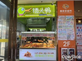 栖头鸭