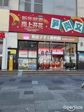 王吃吃奶皮子手工酸奶酪